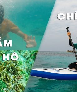 Tour chèo sup lặn ngắm san hô